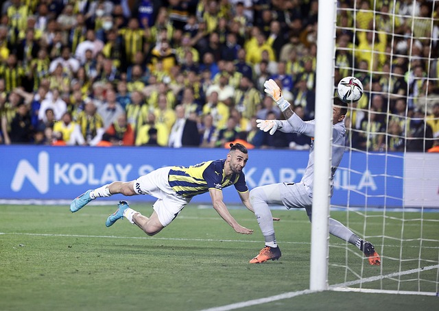 纯的得分能 纯的得分能