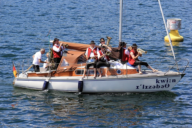 老牌选手的 老牌选手的