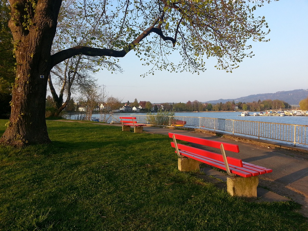 连续22年为国家队破门成足坛首人 C罗：多么美妙的夜晚.